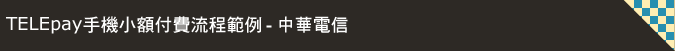 付費流程範例