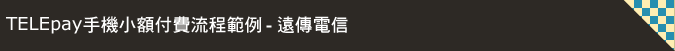 付費流程範例