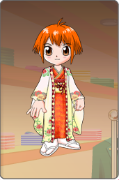 武士夫人